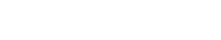 Festina Logo 1