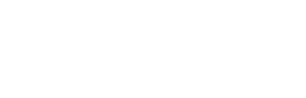 Demi Logo White