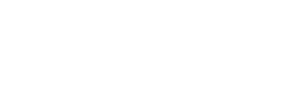 NorthFaceLogo
