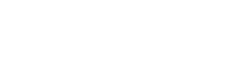 Stormtech Logo